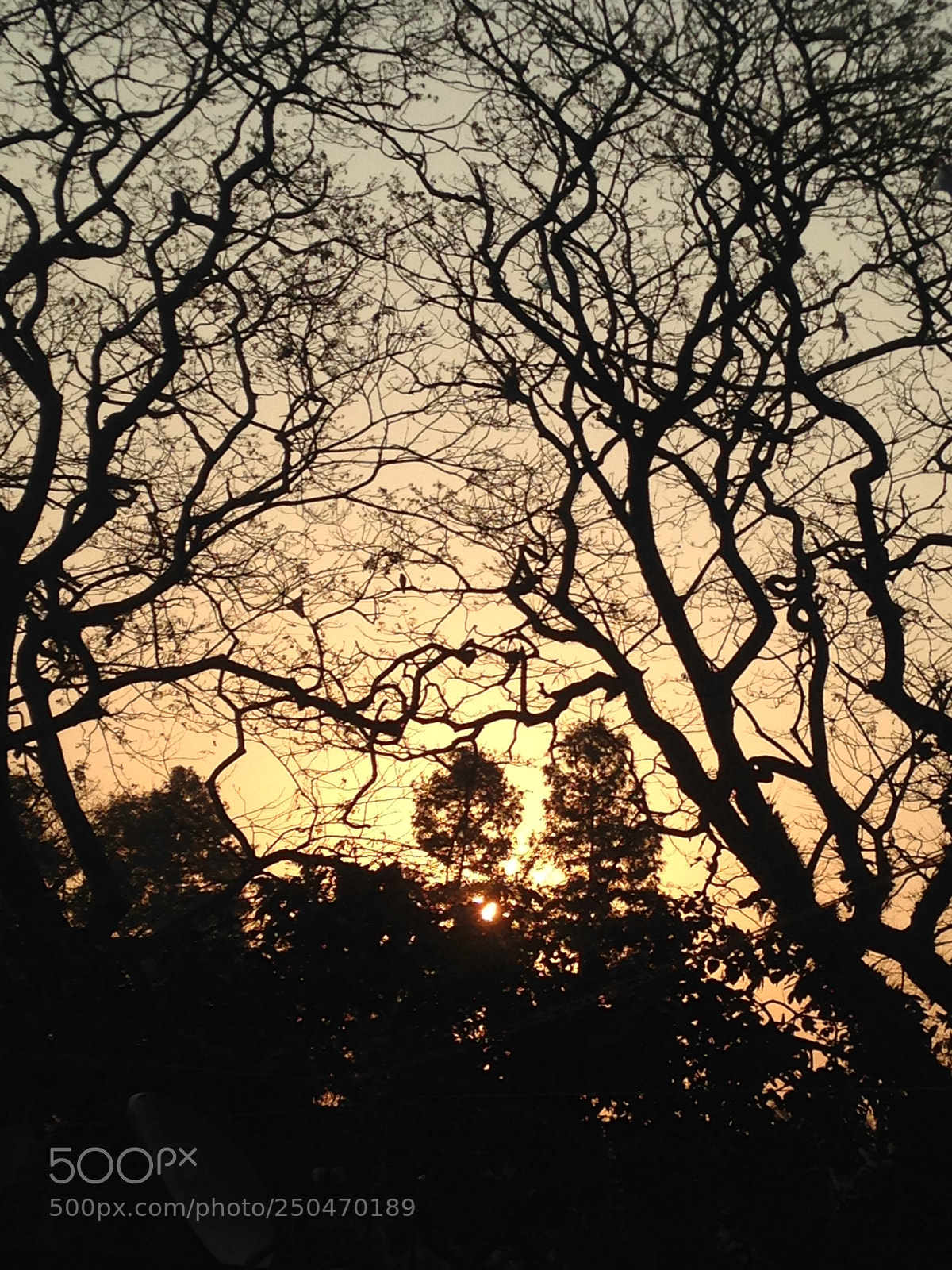 Apple iPhone 5c sample photo. Untitled photography