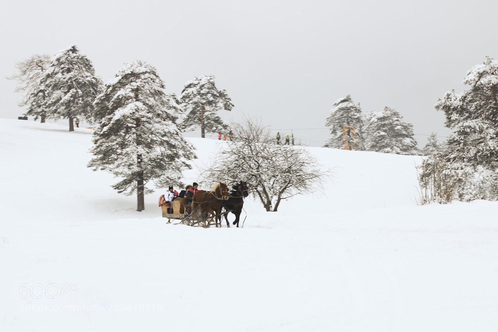 Canon EOS 750D (EOS Rebel T6i / EOS Kiss X8i) sample photo. Winter carriage photography