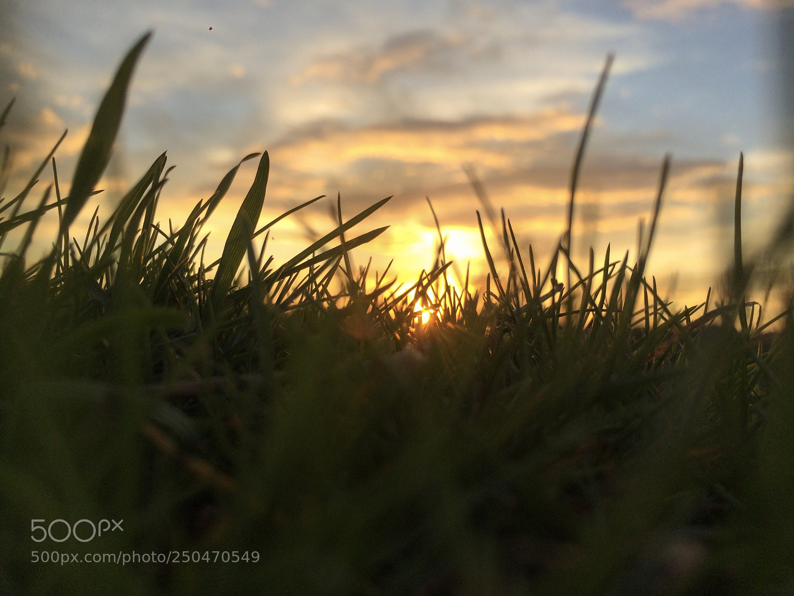 Apple iPhone 5s sample photo. Untitled photography
