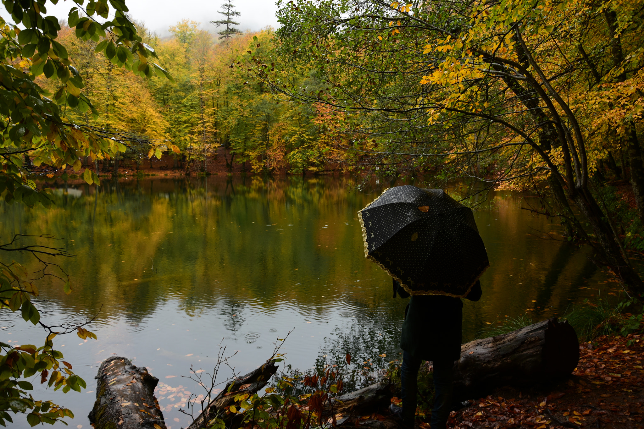 Nikon D7200 sample photo. Yedigöller photography