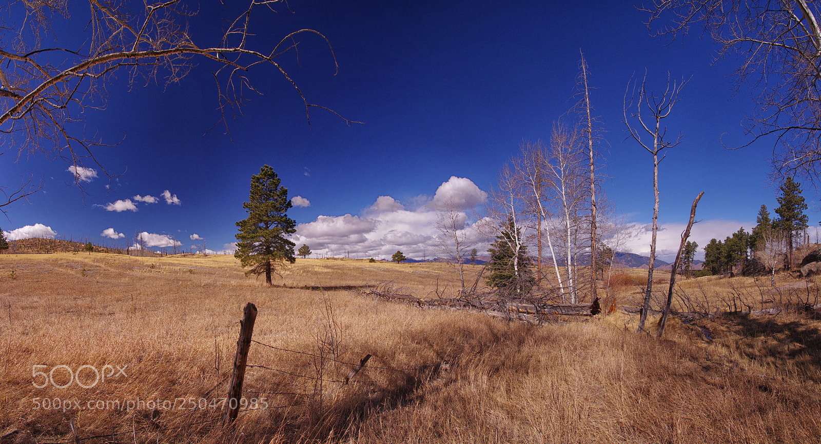 Pentax K-5 IIs sample photo. Untitled panoramacopy photography
