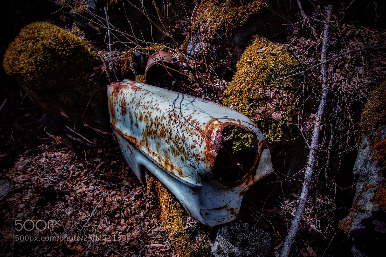 Sony SLT-A77 sample photo. Back to earth photography