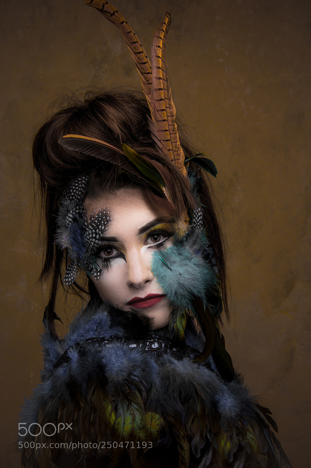 Nikon D610 sample photo. Edeline en plumage d'apparat photography