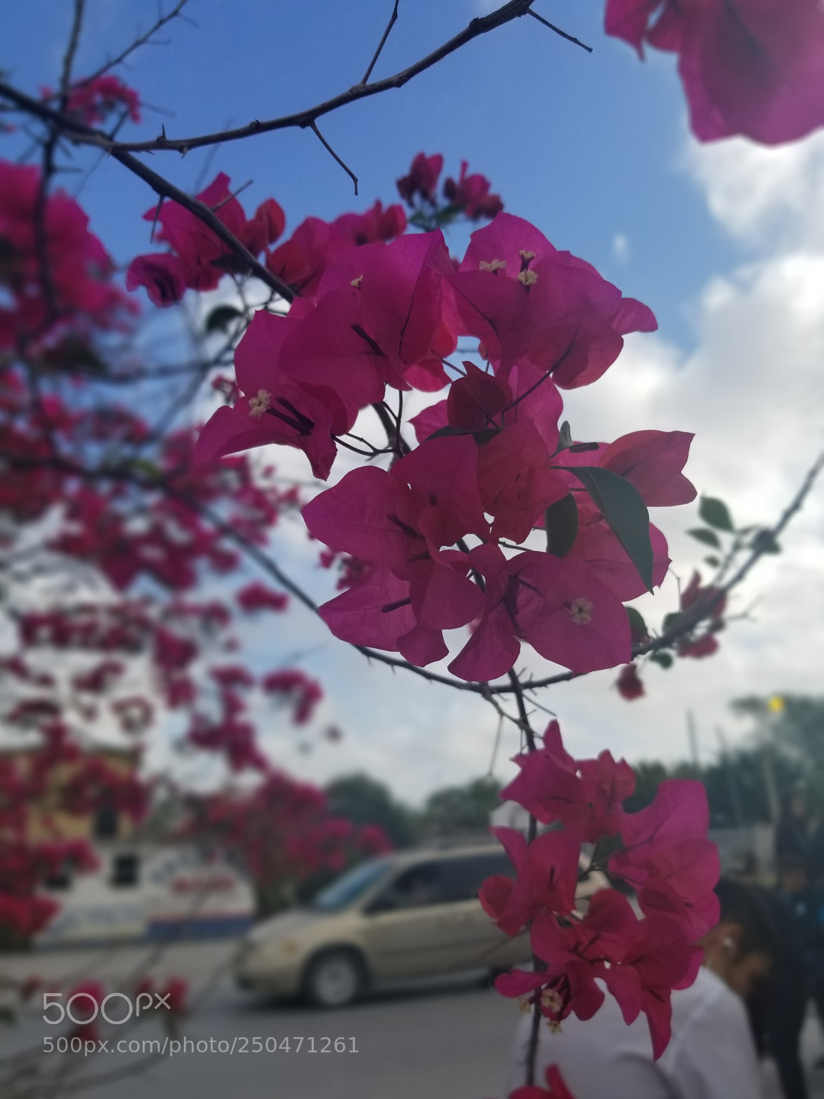 Samsung Galaxy S8+ sample photo. Untitled photography
