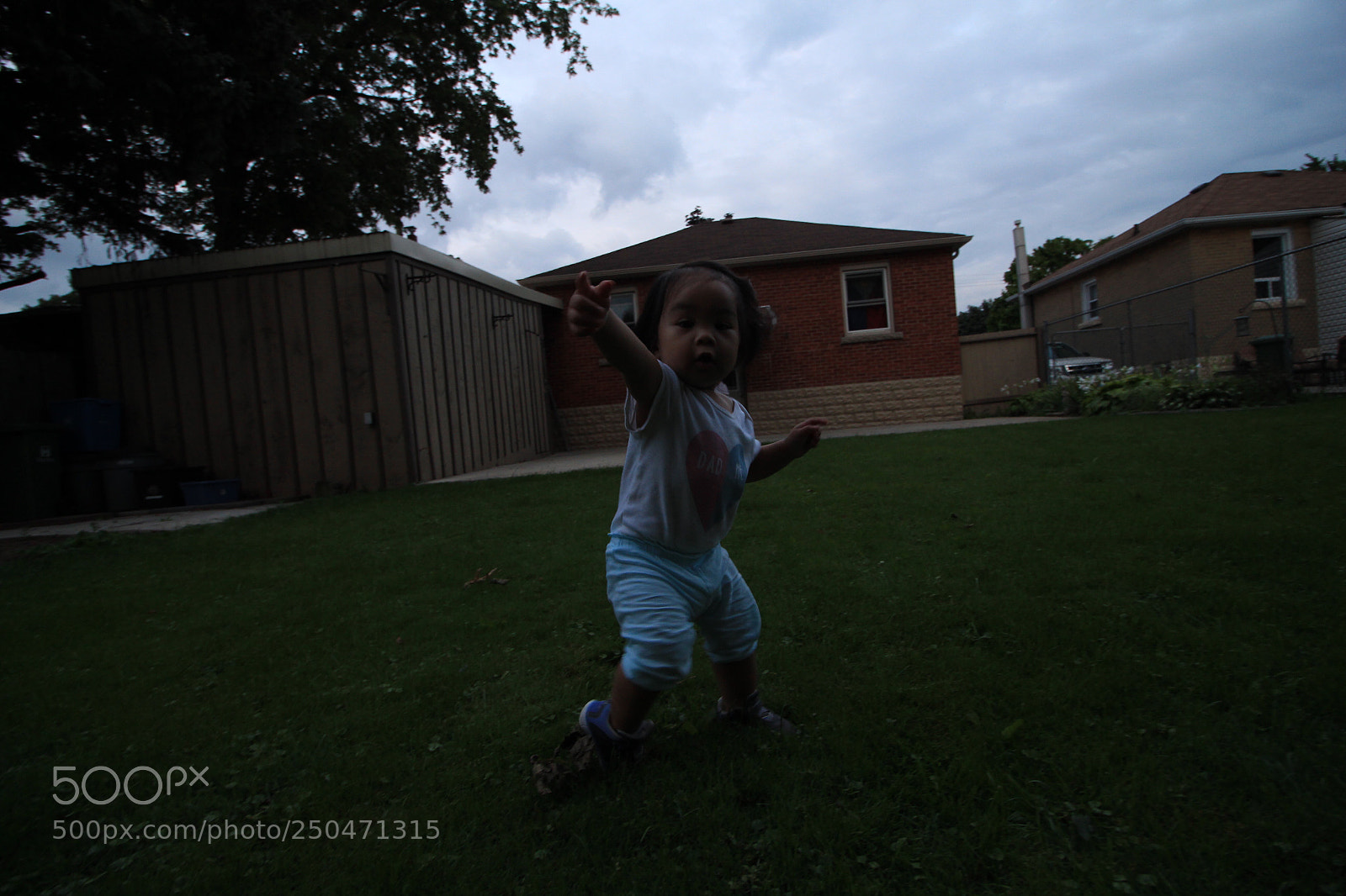 Canon EOS 700D (EOS Rebel T5i / EOS Kiss X7i) sample photo. 235 of 365 photography