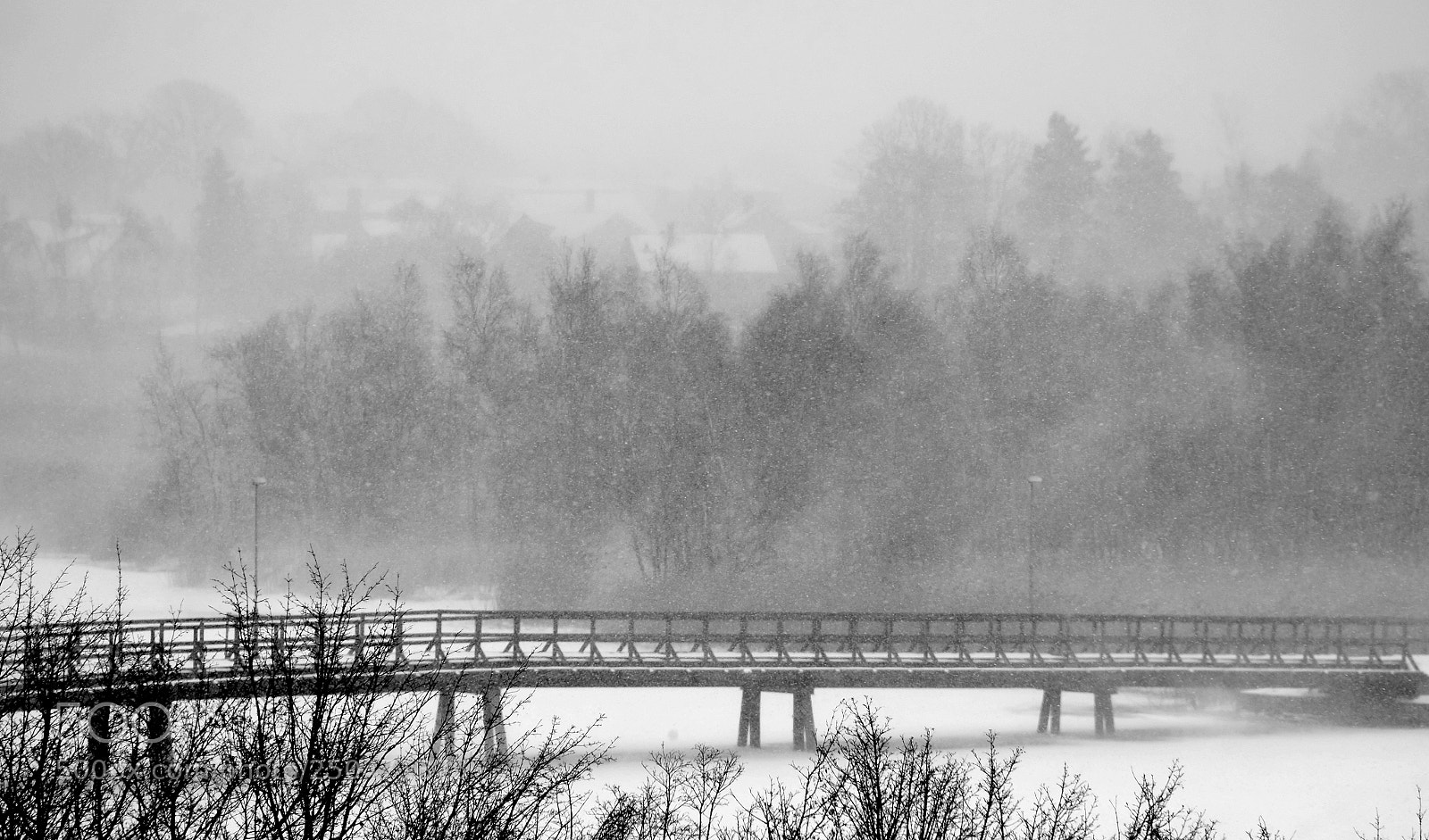 Fujifilm X-M1 sample photo. Winter photography