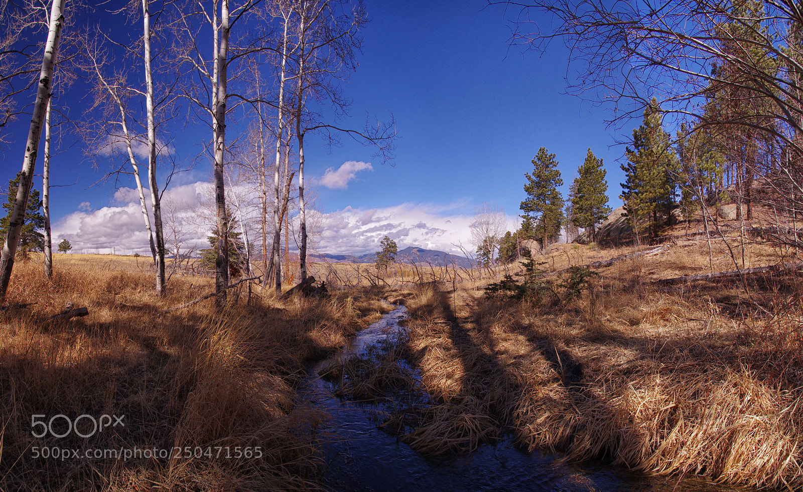 Pentax K-5 IIs sample photo. Untitled panoramacopy photography