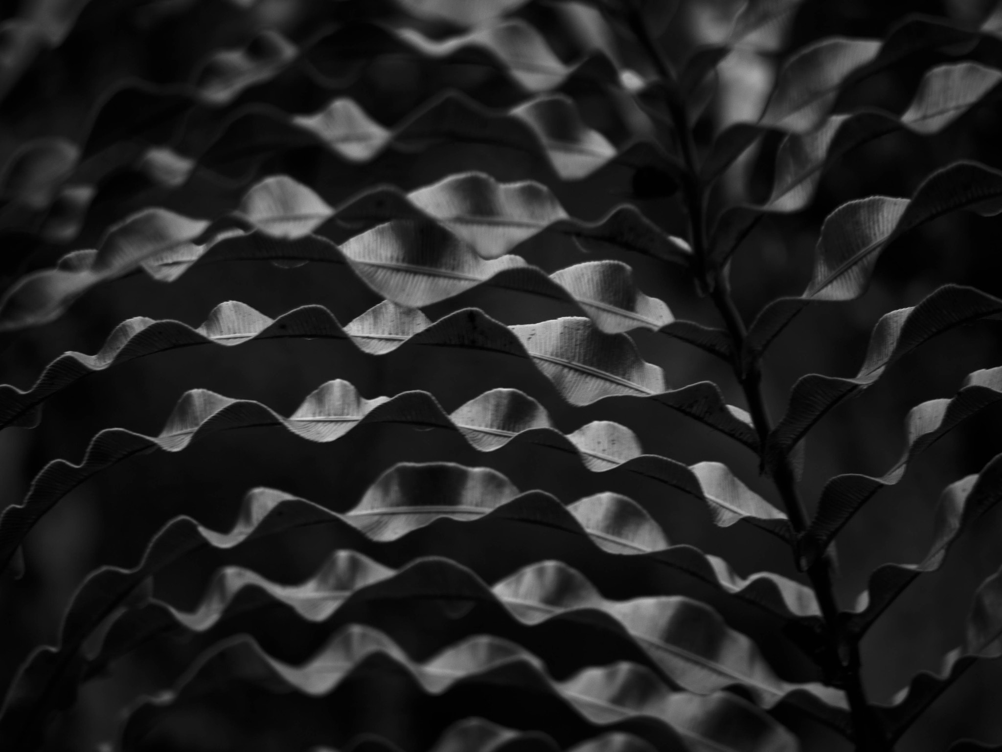 Panasonic Lumix DMC-GM1 sample photo. Patterns photography