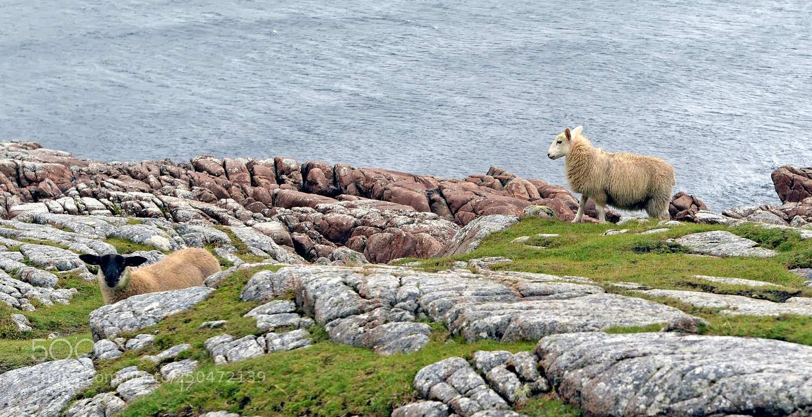 Nikon D700 sample photo. Fanad head irlande photography