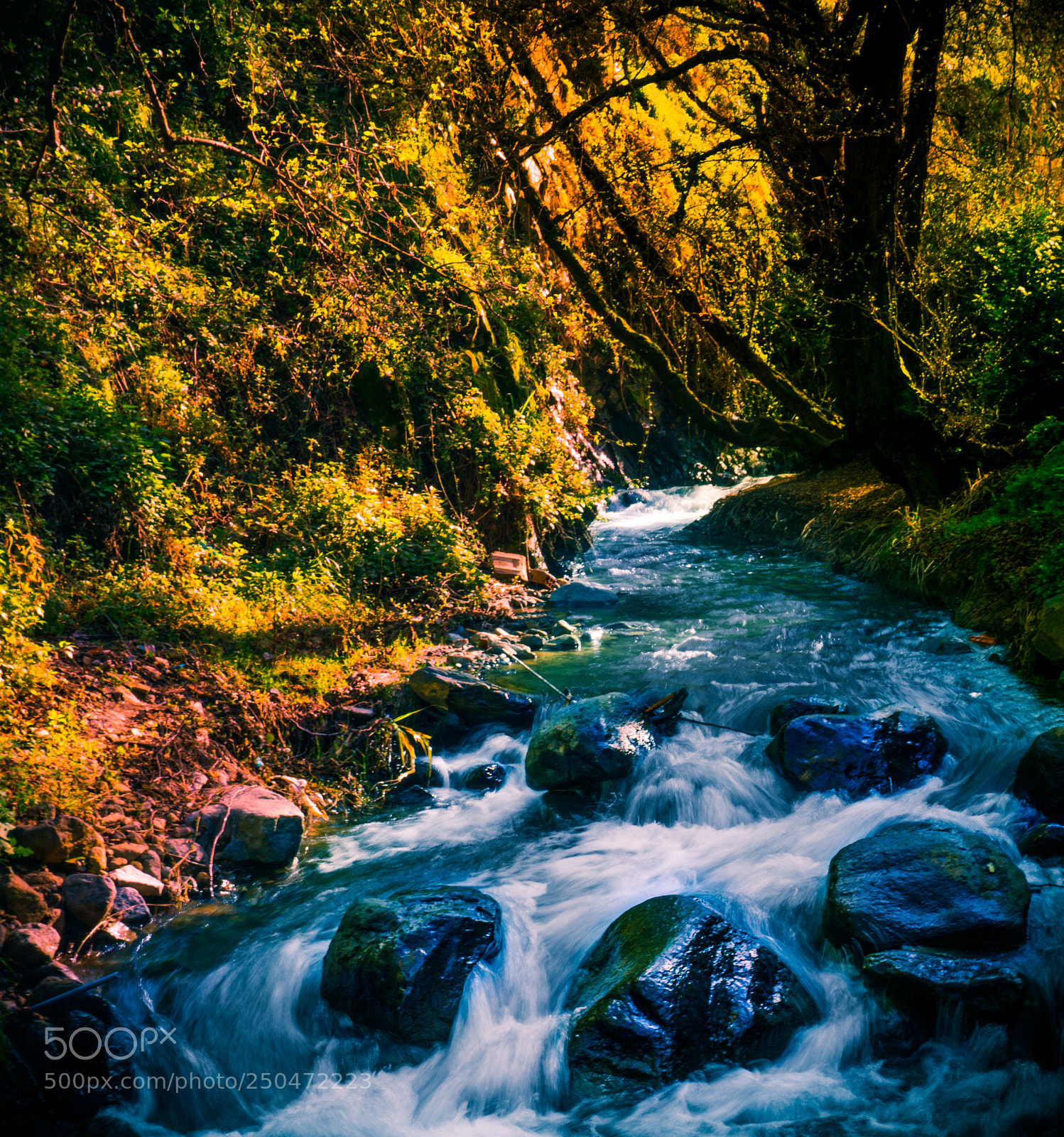Sony a6000 sample photo. Little stream.jpg photography