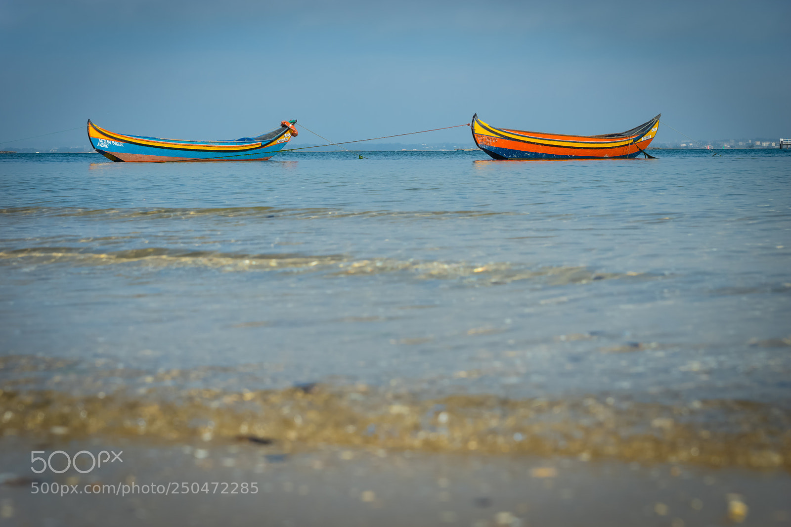 Sony ILCA-77M2 sample photo. Blue & green photography