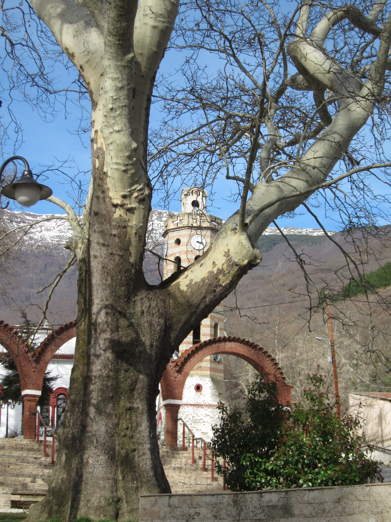 Canon PowerShot SD4000 IS (IXUS 300 HS / IXY 30S) sample photo. Church-tower between the trees photography