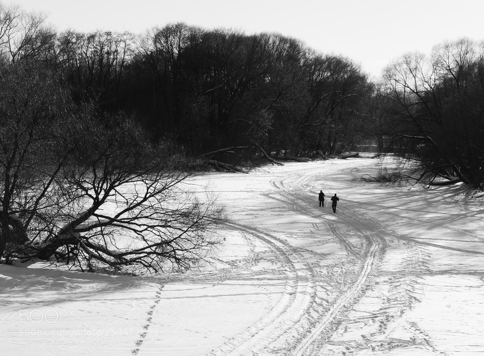 Nikon D5100 sample photo. On a river photography