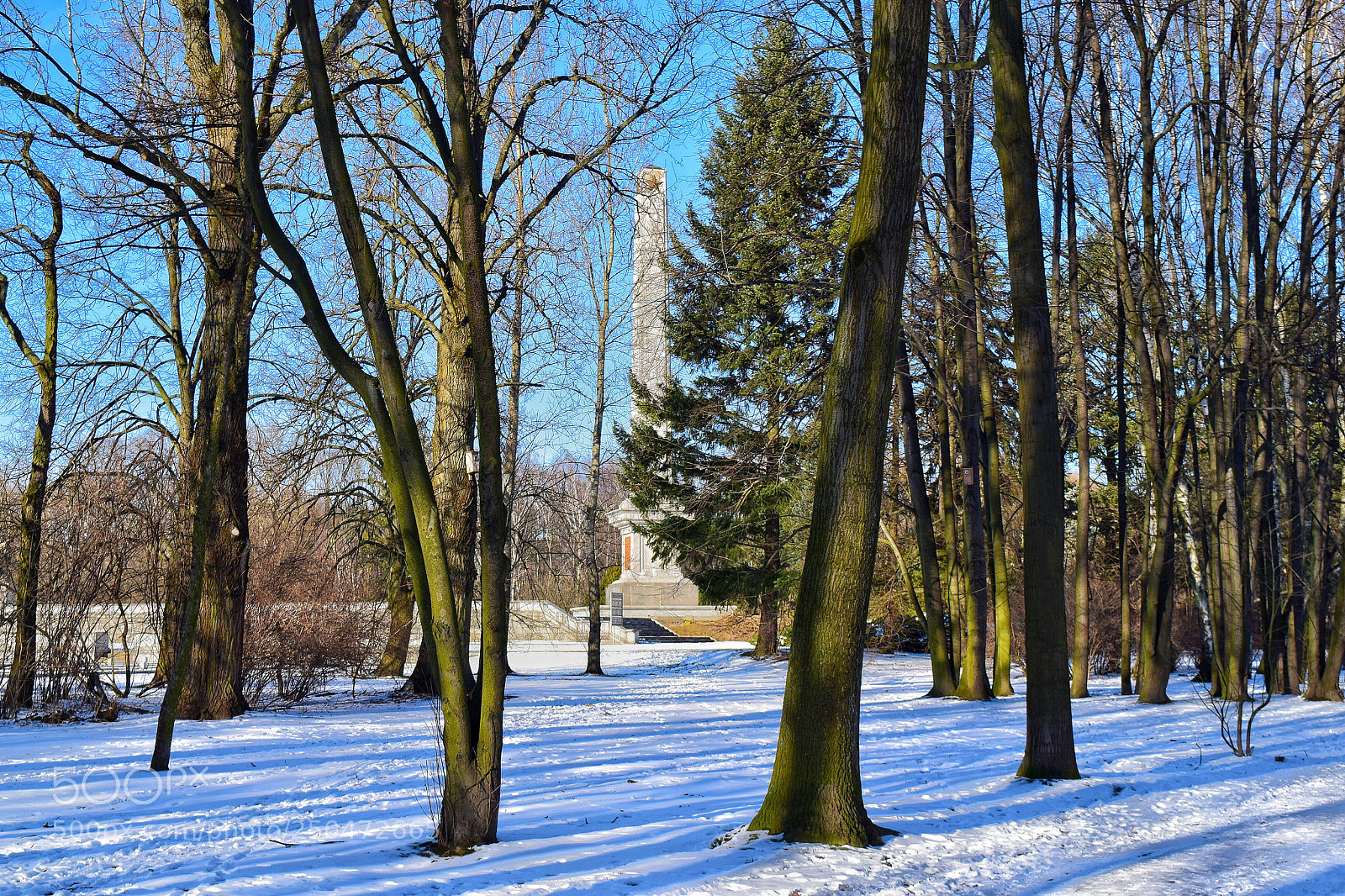 Nikon D5300 sample photo. Meanwhile, in warsaw photography