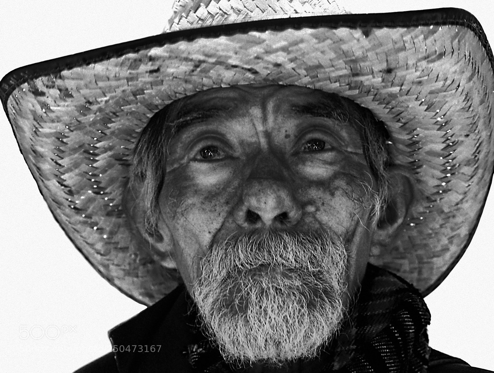 Nikon D5000 sample photo. Hard life photography