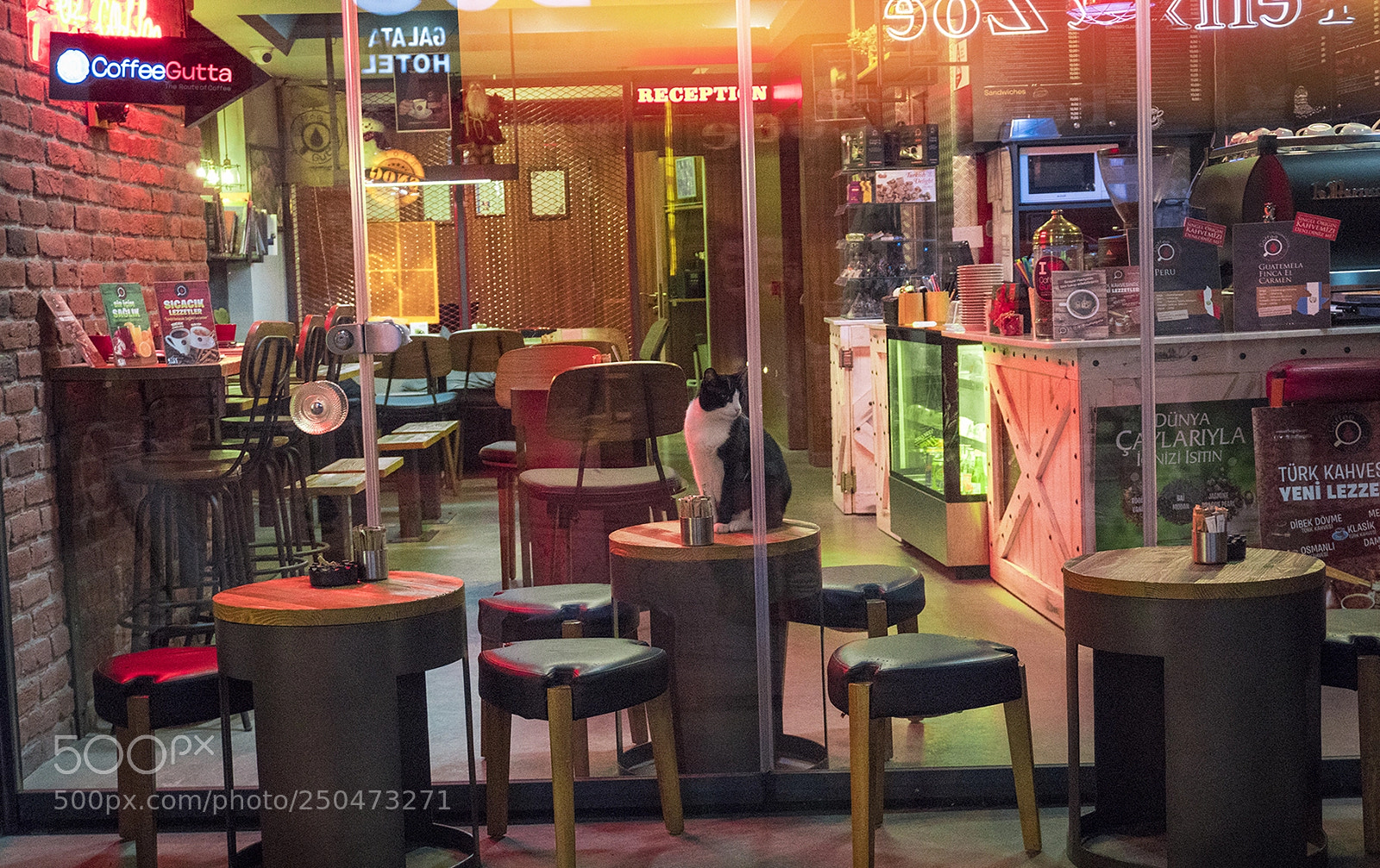 Sony a6300 sample photo. 3:30 am .. photography
