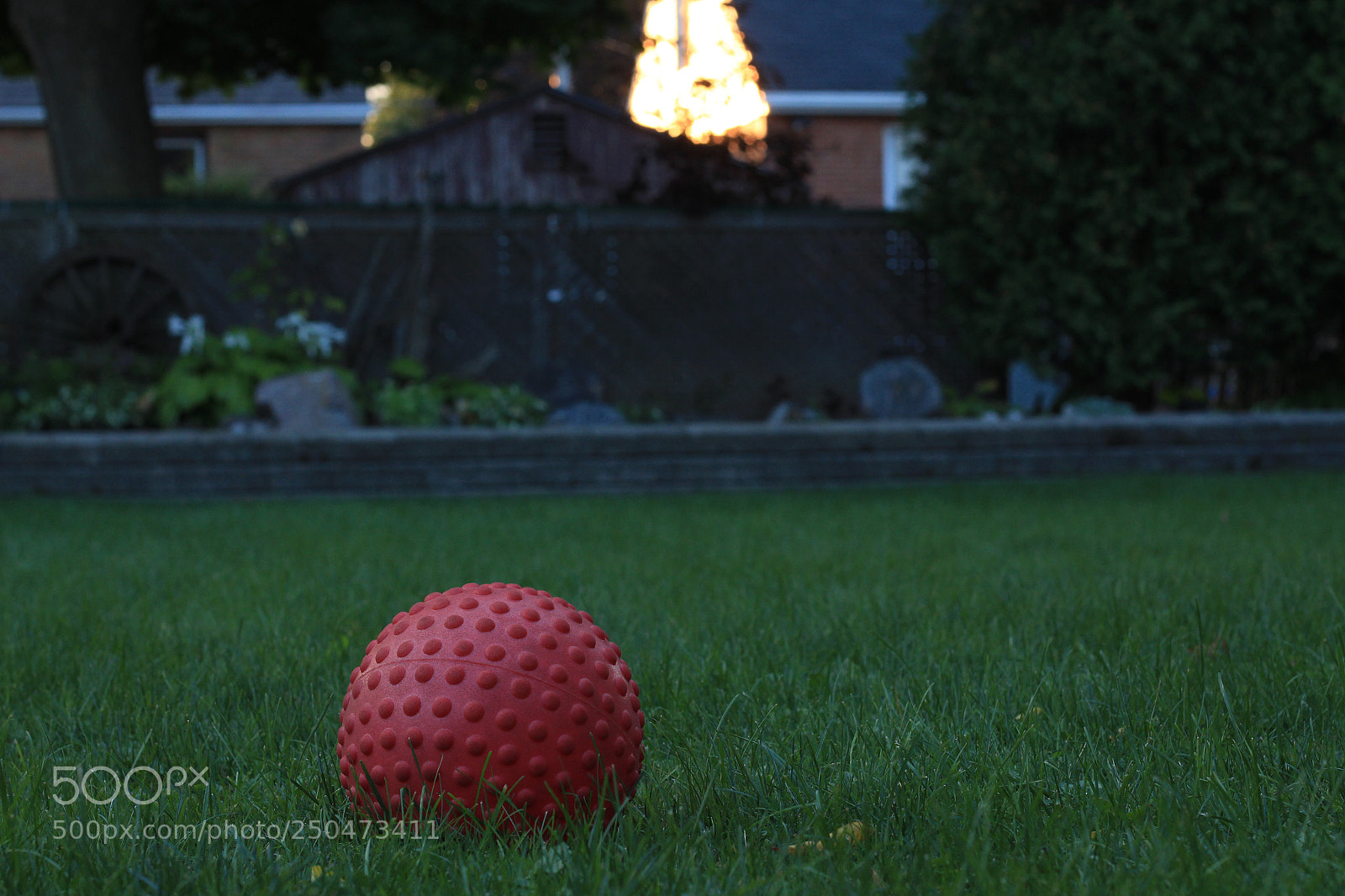 Canon EOS 700D (EOS Rebel T5i / EOS Kiss X7i) sample photo. 246 of 364 photography
