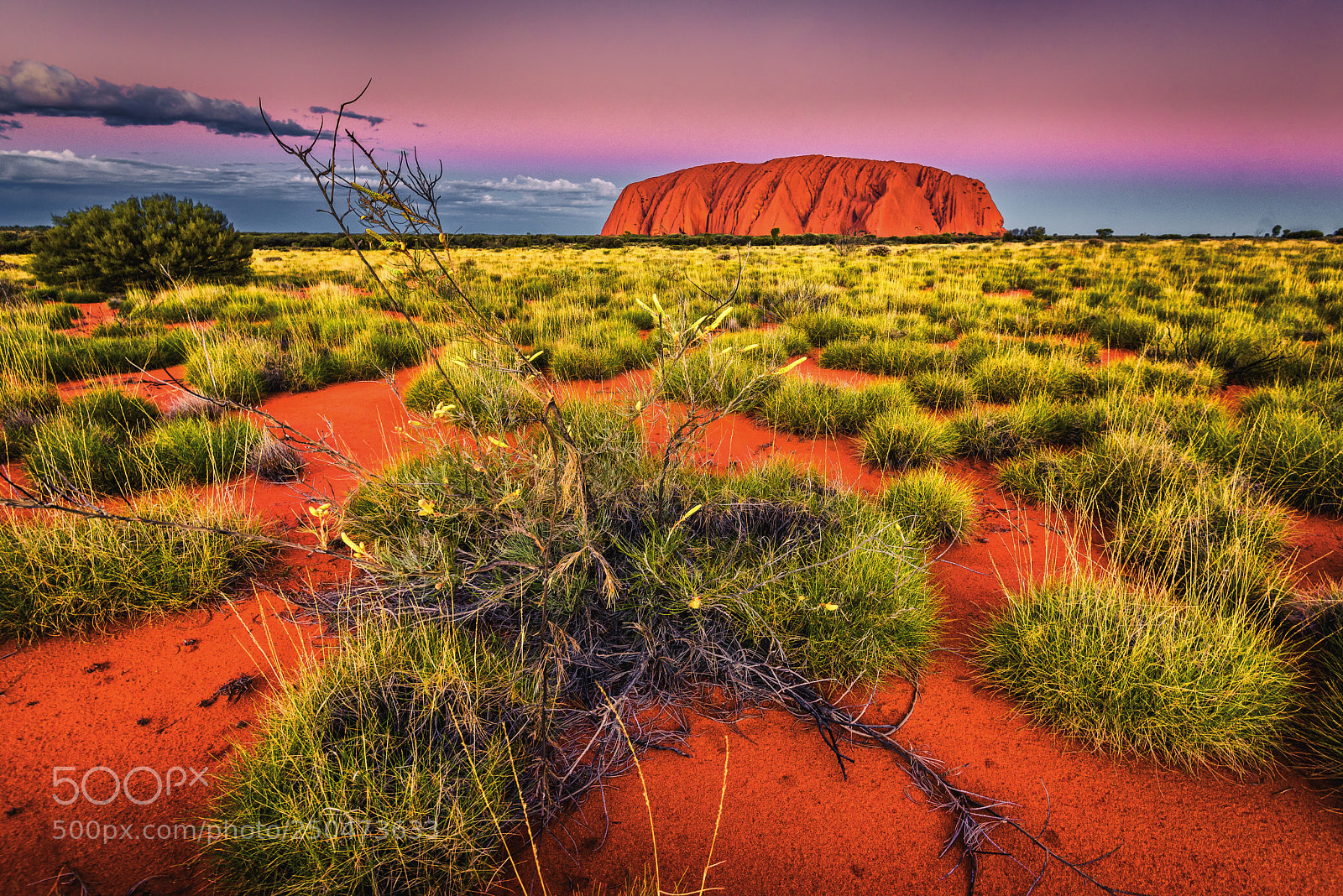Nikon D750 sample photo. Uluru photography