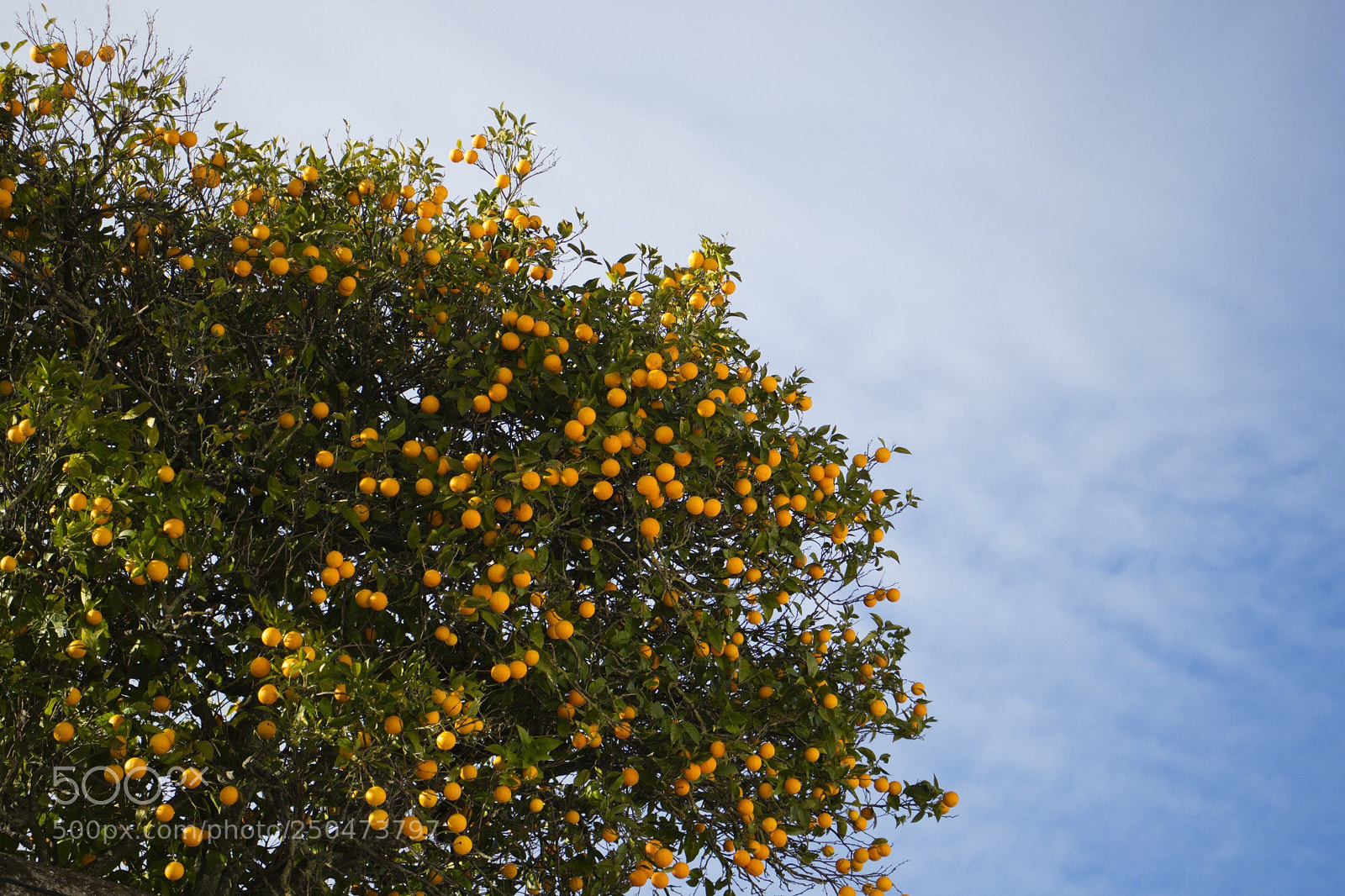 Canon EOS M3 sample photo. ... dots ... photography