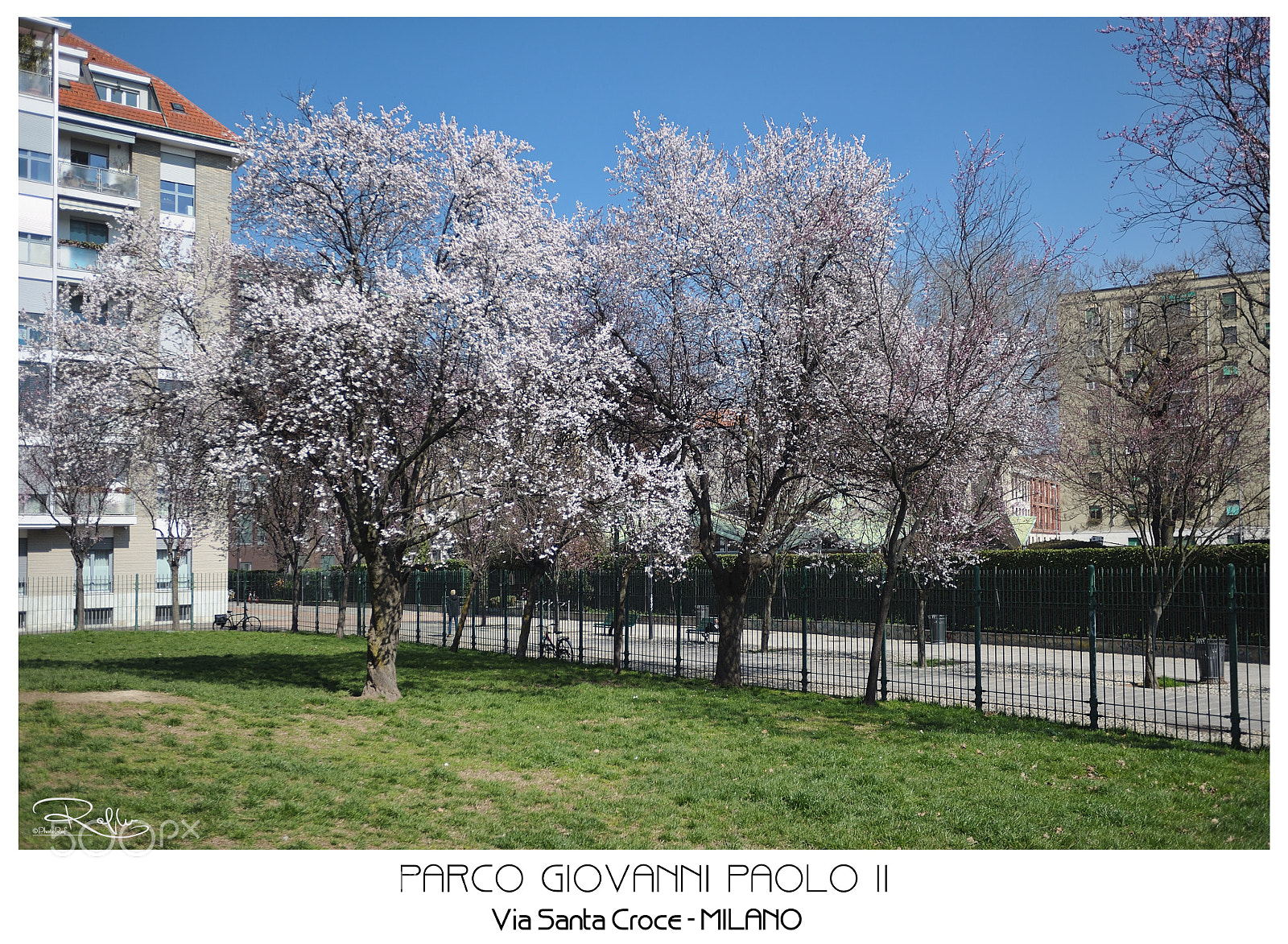 Nikon D3 sample photo. Giovanni paolo ii park photography