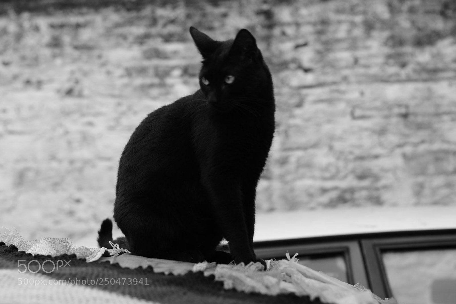 Nikon D5300 sample photo. Chiqui photography