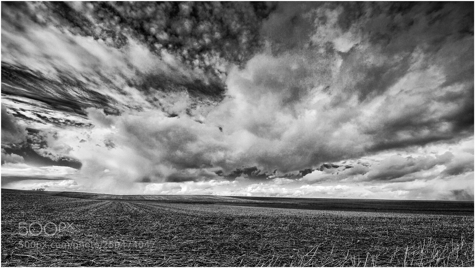 Canon EOS 5D Mark II sample photo. Stretched clouds photography