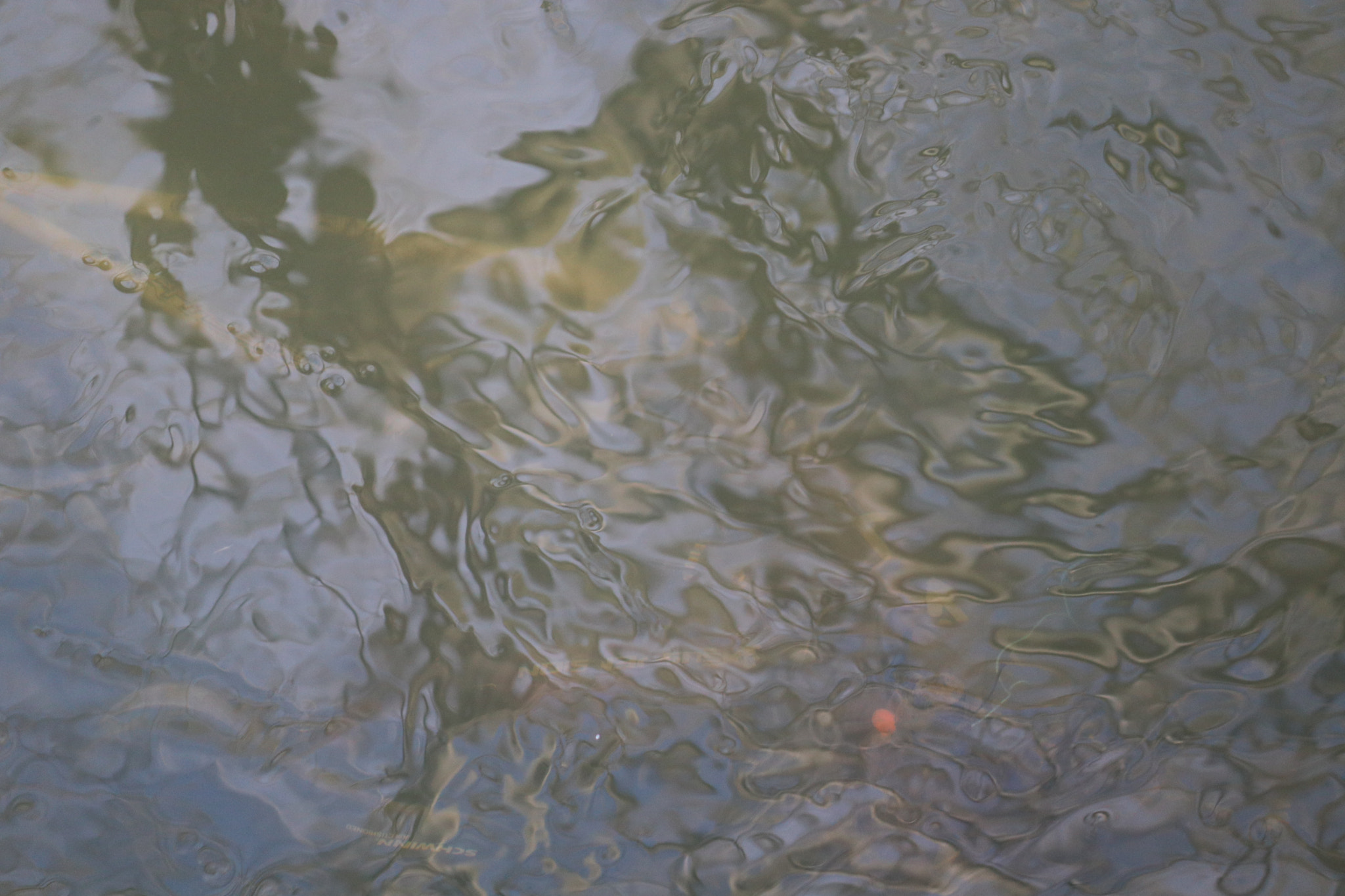 Canon EF-S 55-250mm F4-5.6 IS sample photo. Water on move photography