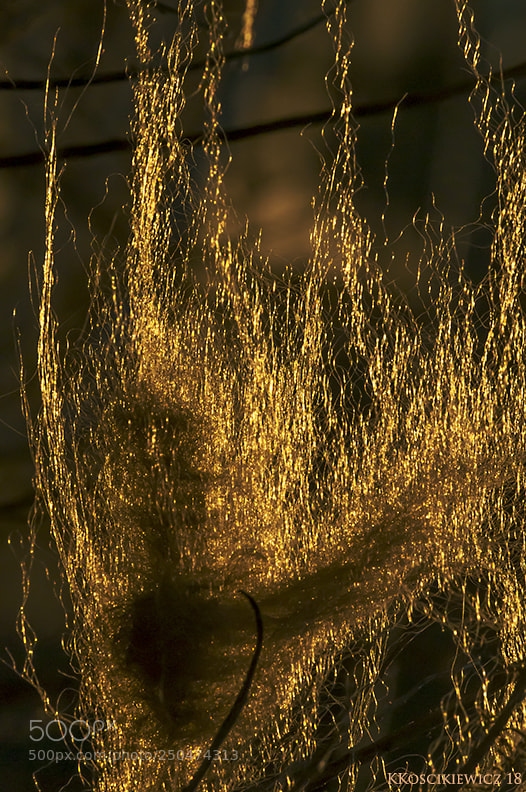 Nikon D300S sample photo. Sunset ghost photography