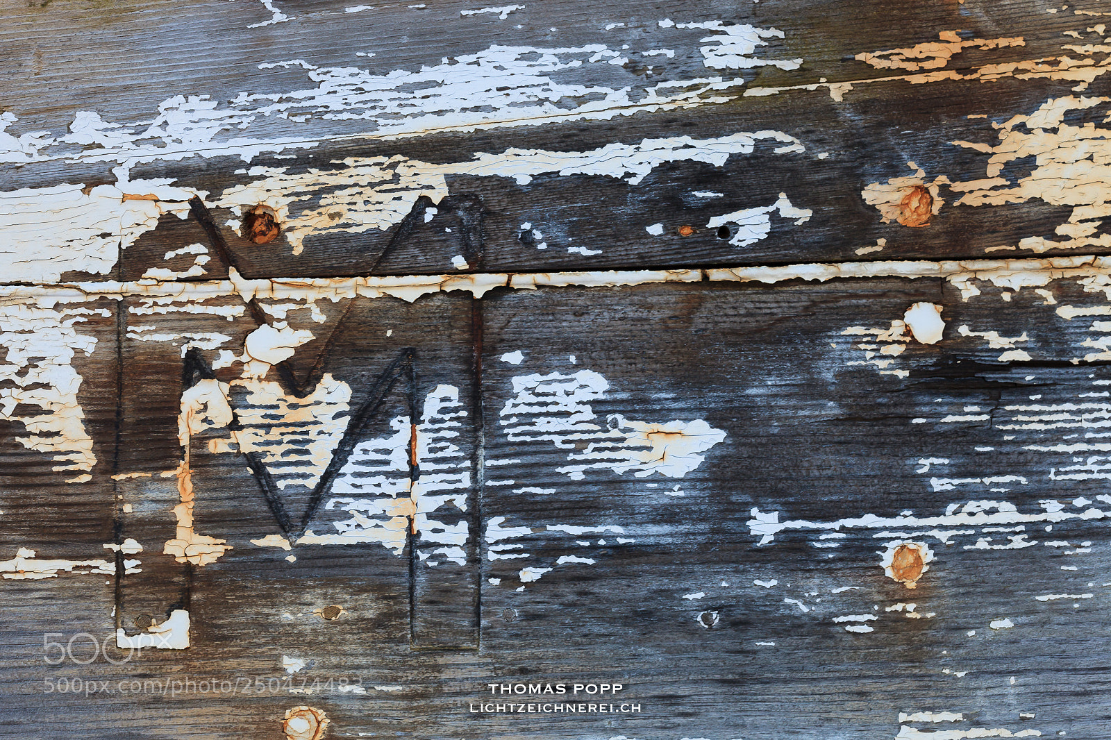 Canon EOS 5D Mark II sample photo. Wood photography