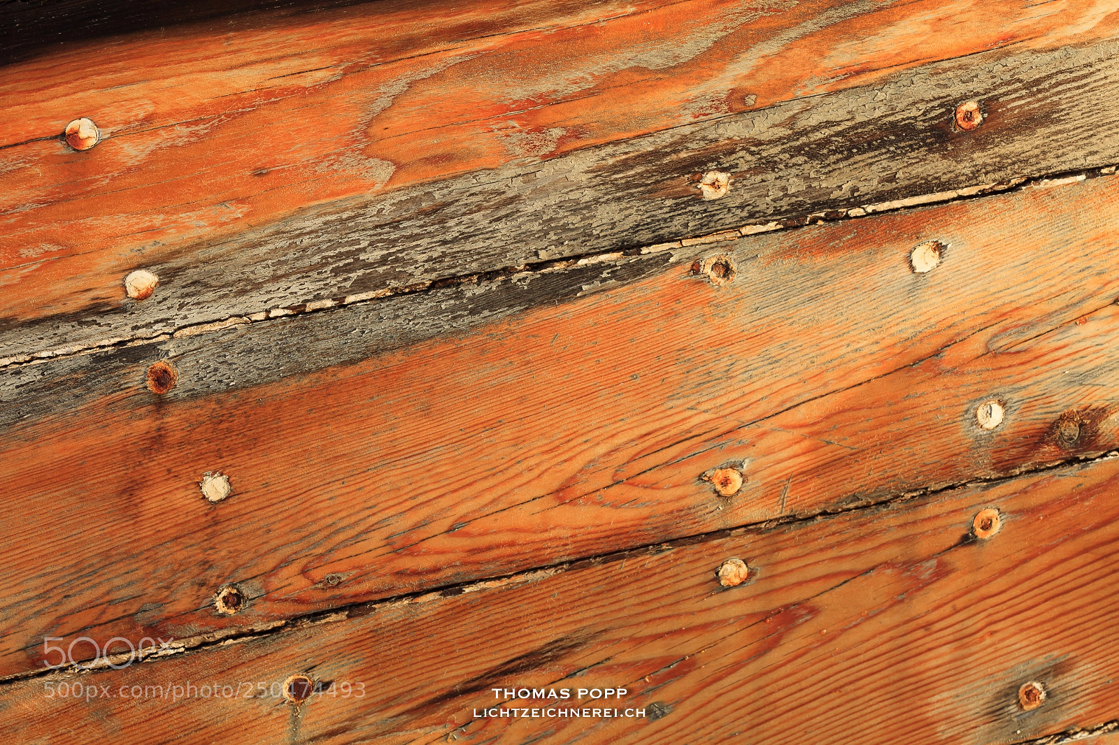 Canon EOS 5D Mark II sample photo. Wood photography