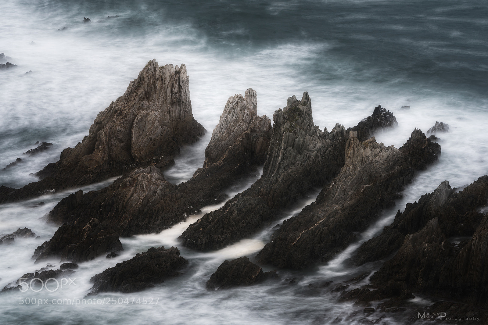 Nikon D810 sample photo. 4dragons photography