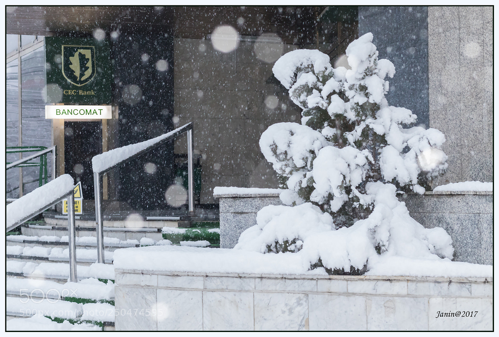 Canon EOS 77D (EOS 9000D / EOS 770D) sample photo. It's snowing photography