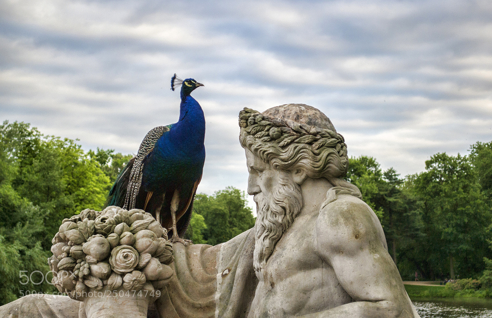 Nikon D3100 sample photo. Peacock statue photography