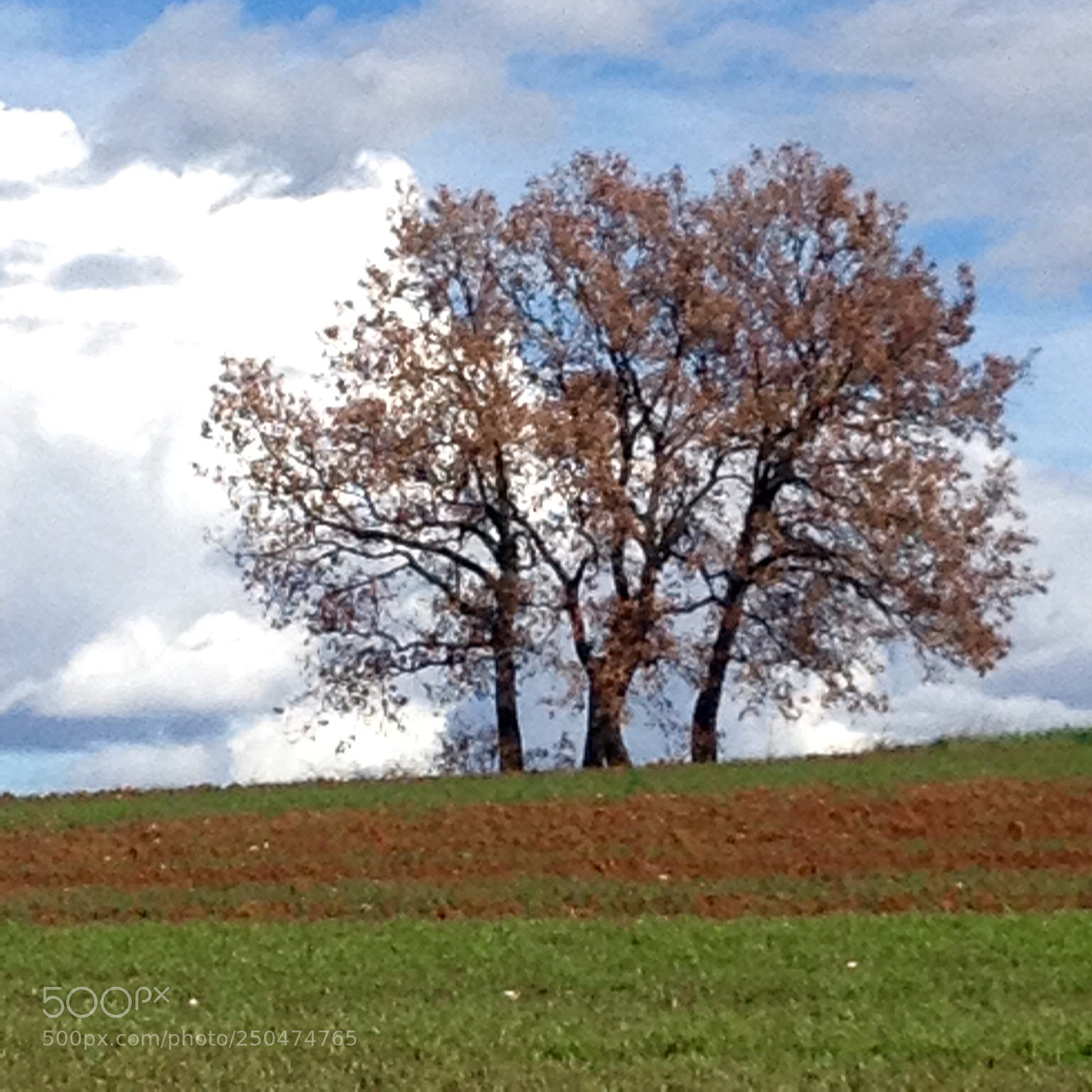 Apple iPhone 4S sample photo. Just 3 of us photography