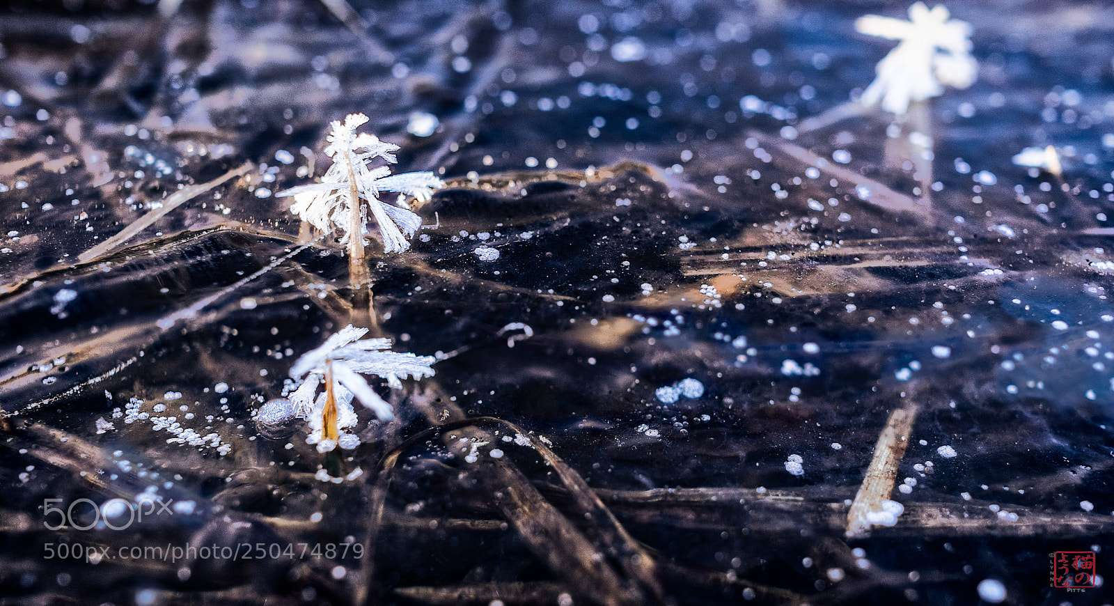 Sony a7 sample photo. Crystals dance photography