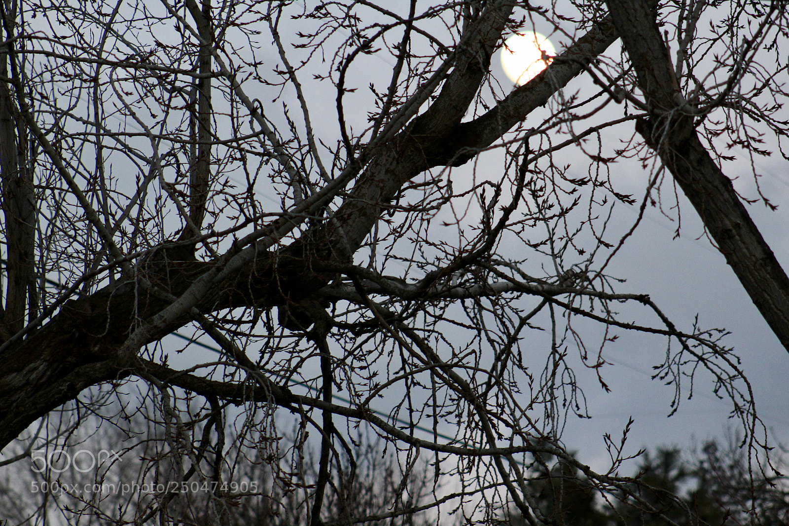 Canon EOS 1300D (EOS Rebel T6 / EOS Kiss X80) sample photo. Moon iii photography