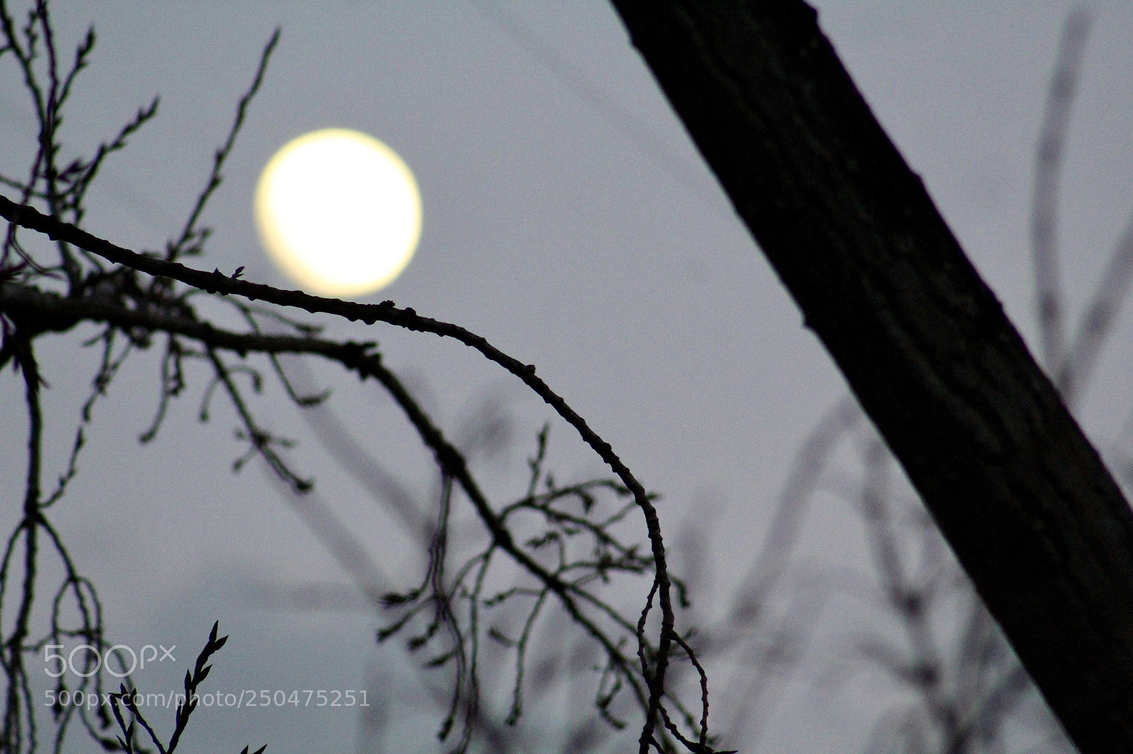 Canon EOS 1300D (EOS Rebel T6 / EOS Kiss X80) sample photo. Moon iv photography
