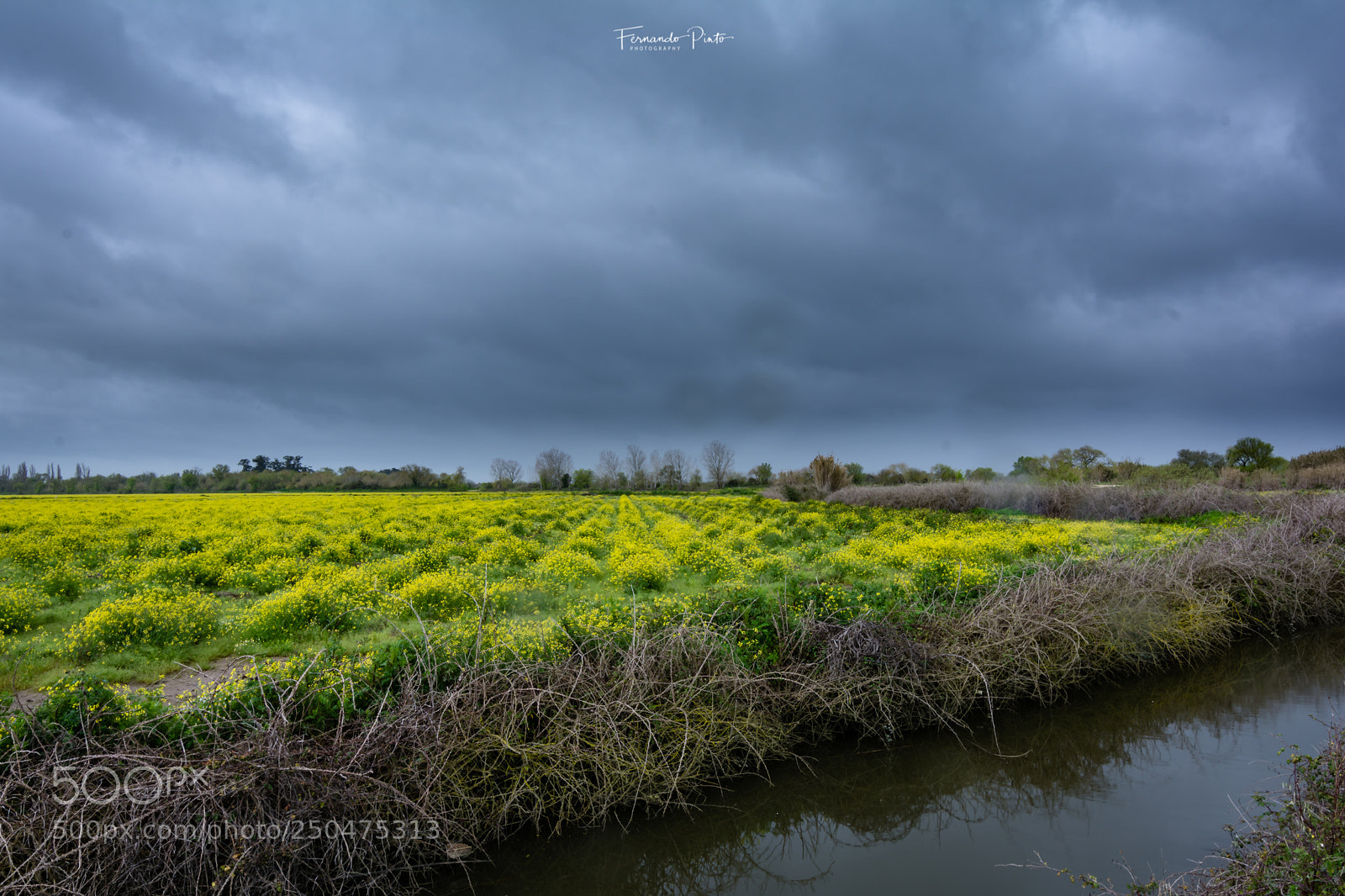 Nikon D7100 sample photo. Spring photography