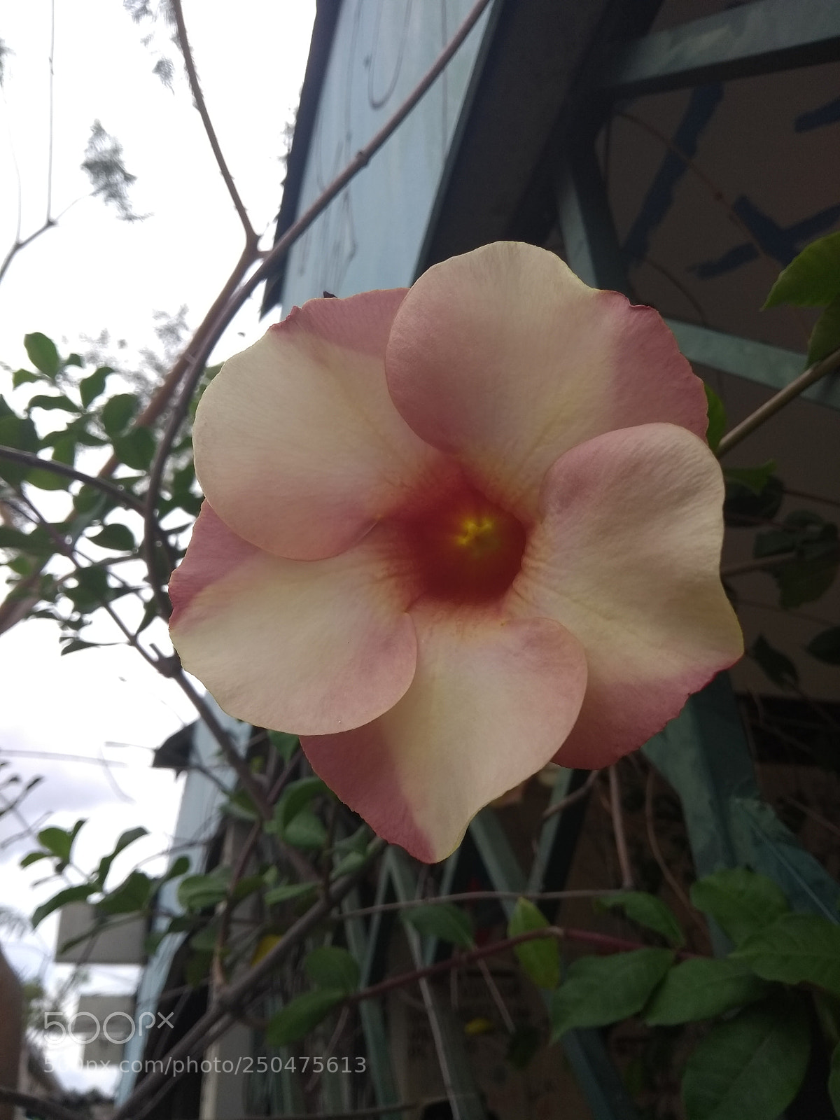 Motorola Moto G (5th Gen) sample photo. Untitled photography