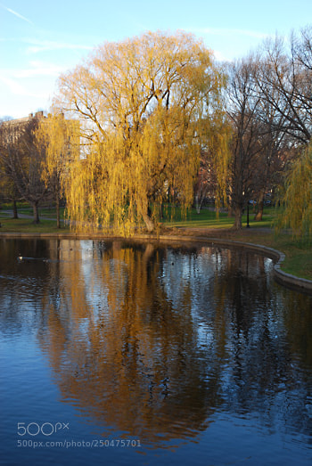 Nikon D60 sample photo. Td photography