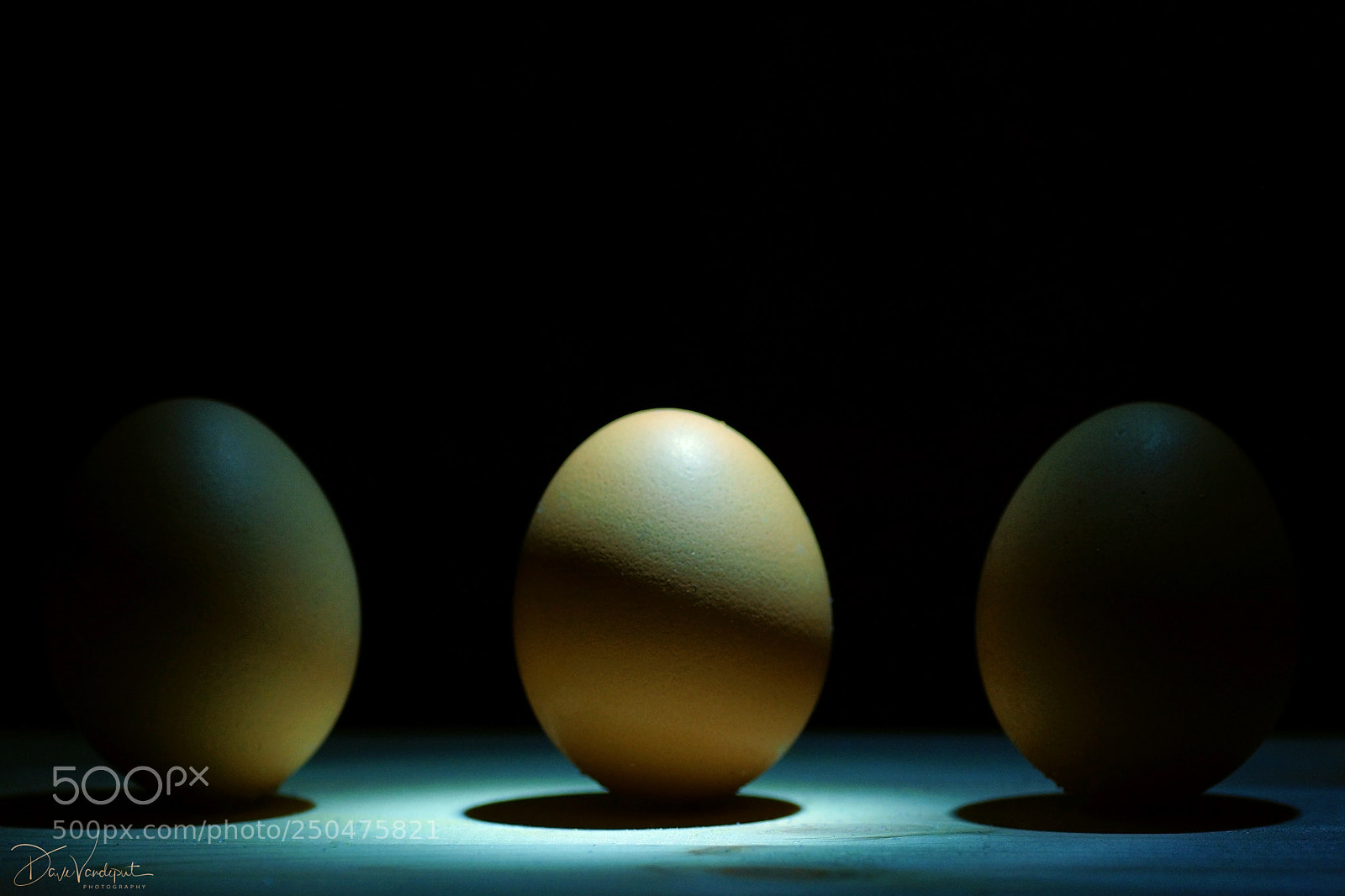 Sony SLT-A77 sample photo. Lining up photography