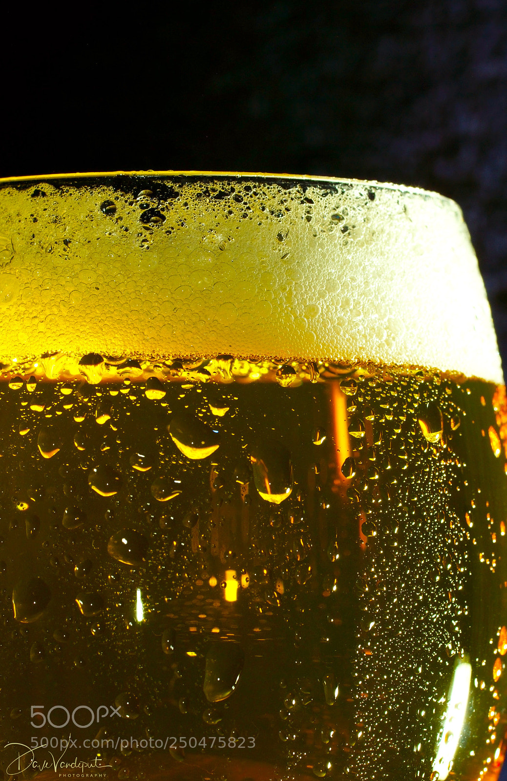Sony SLT-A77 sample photo. Beer, up close photography
