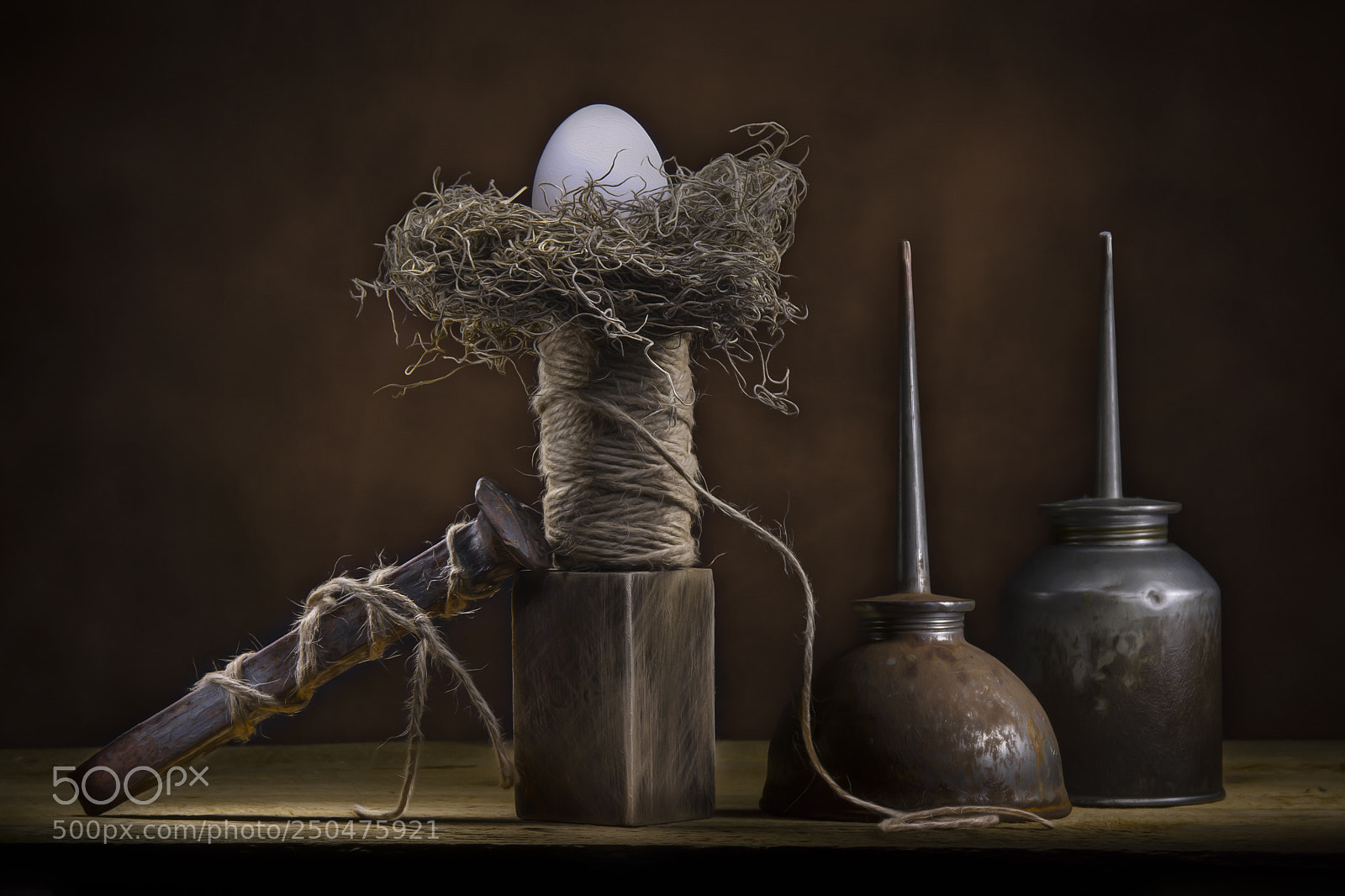 Nikon D7100 sample photo. Rustic surreal still life photography