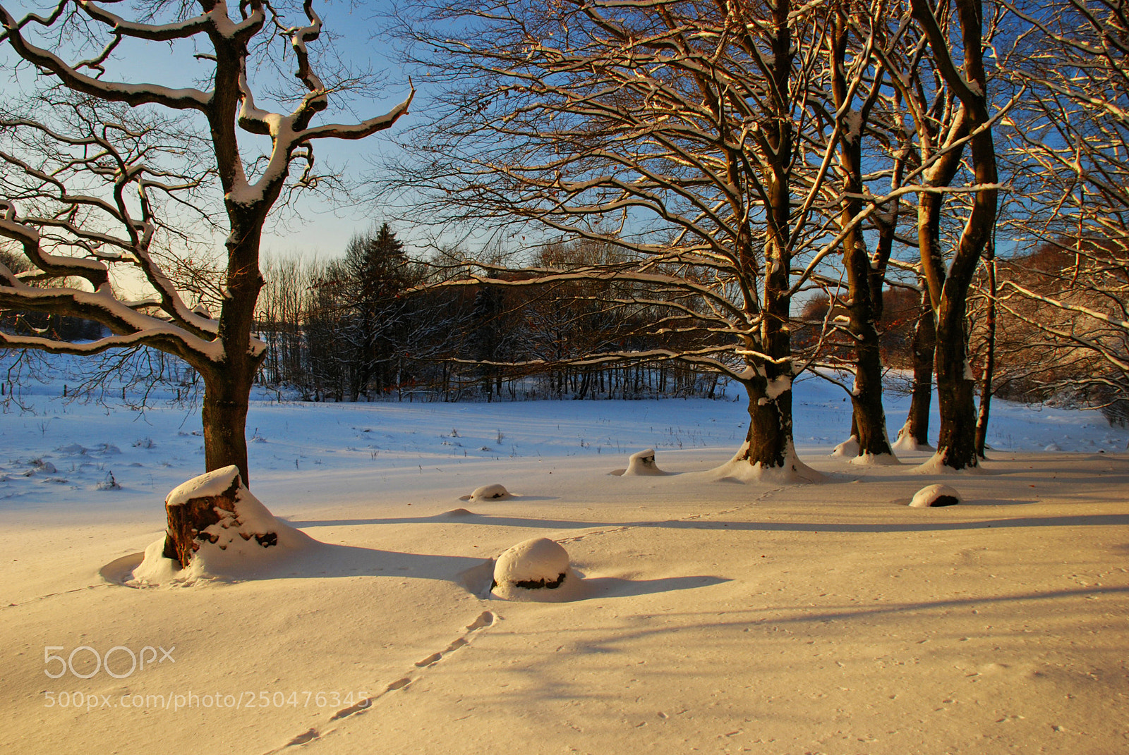 Nikon D80 sample photo. Winter afternoon ii photography