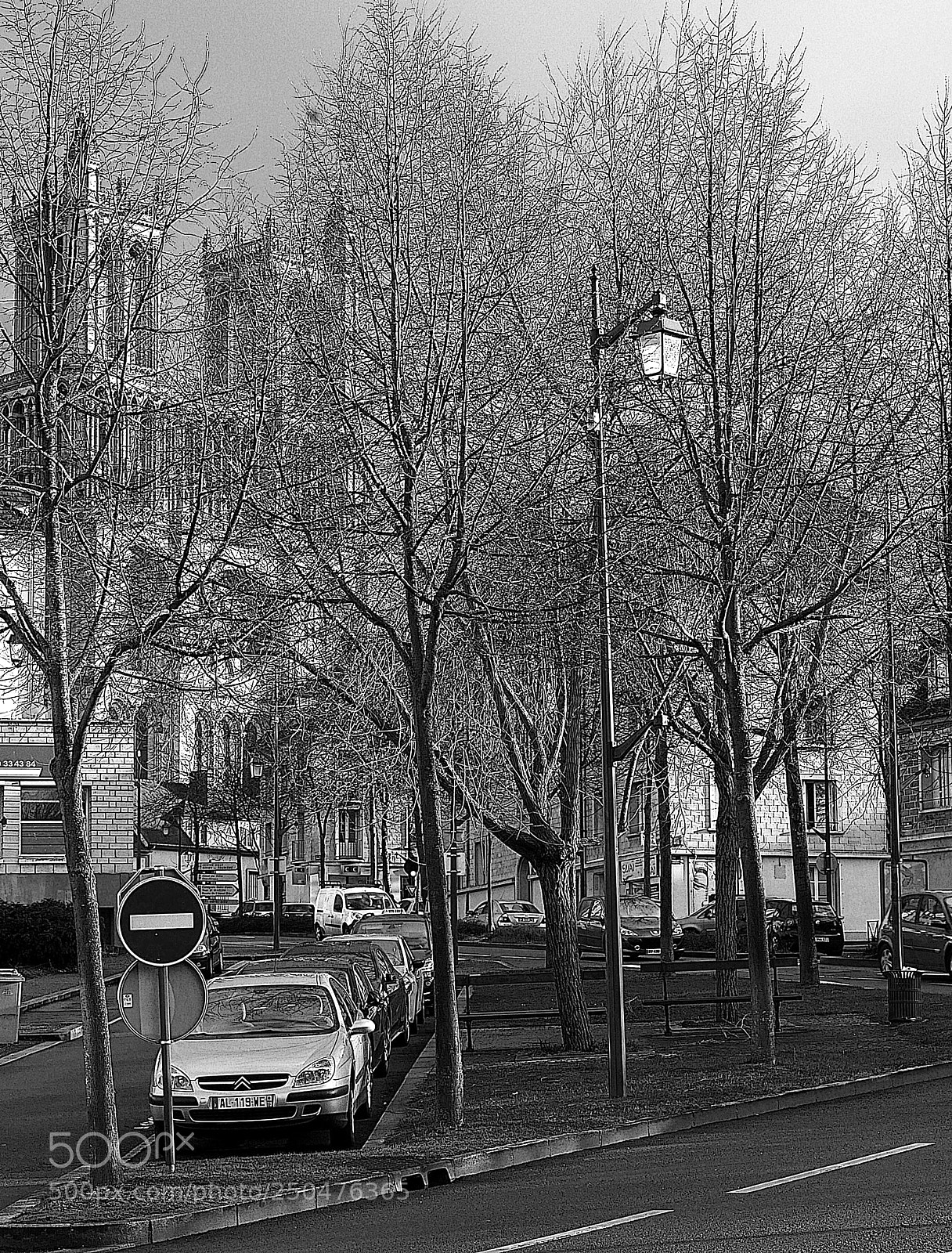 Leica D-Lux (Typ 109) sample photo. In throught a lace photography