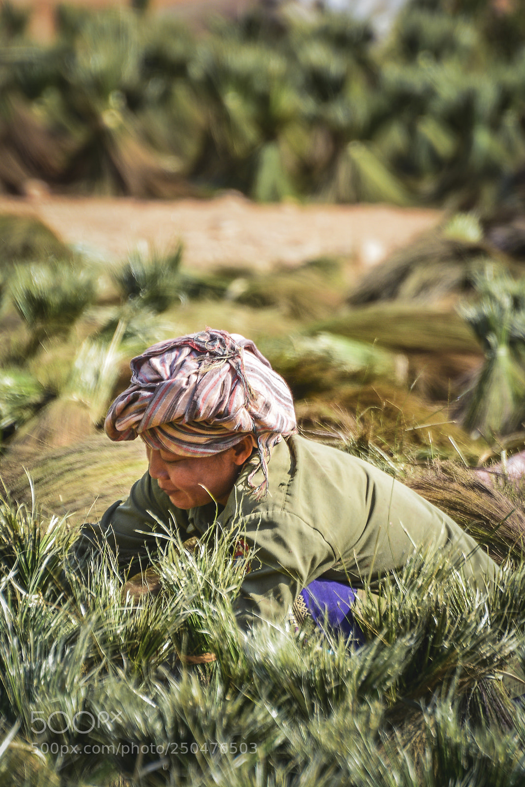 Nikon D5200 sample photo. Nong khiaw worker photography