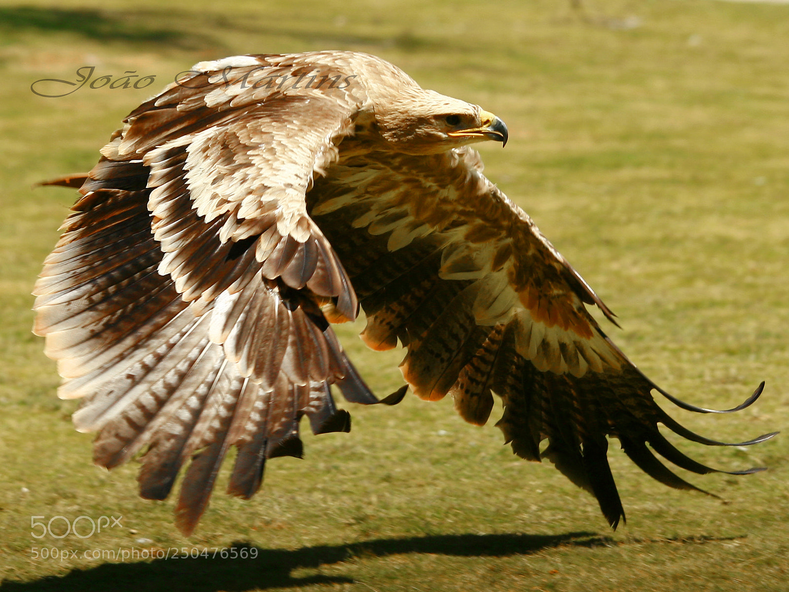 Canon EOS 30D sample photo. Voo photography