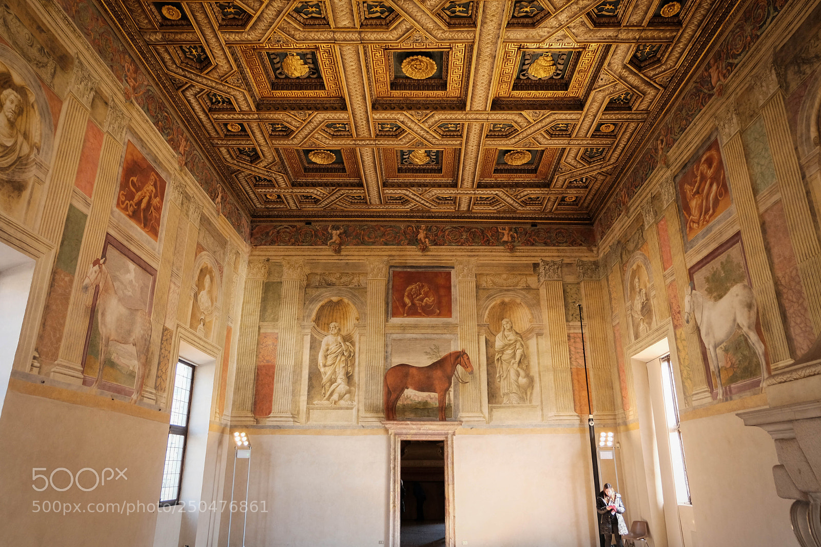 Fujifilm X-T20 sample photo. Palazzo te photography