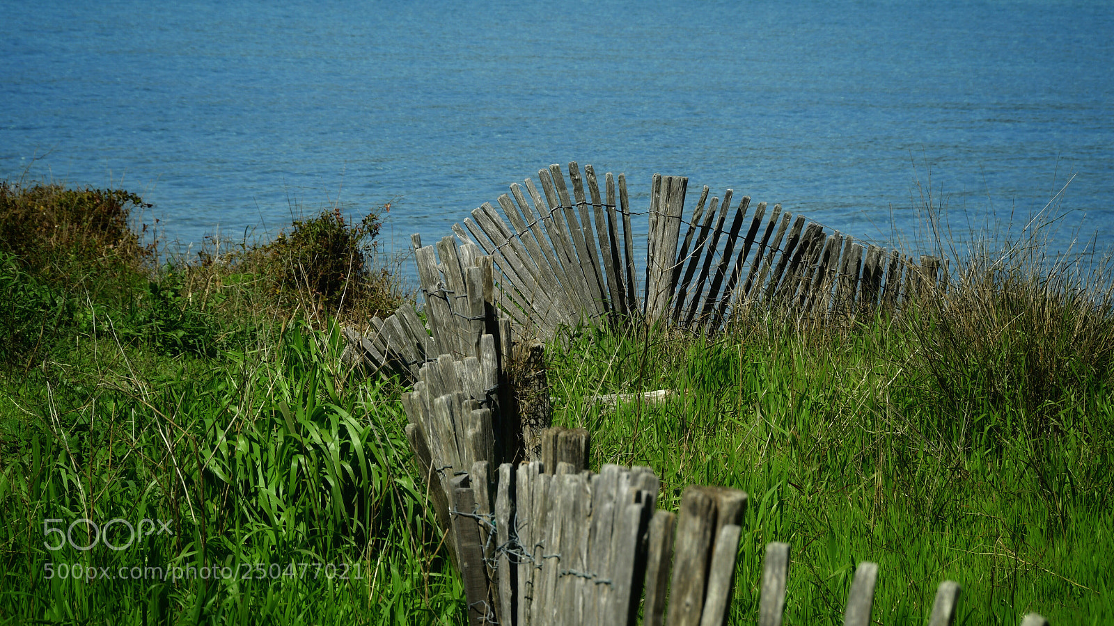 Nikon D500 sample photo. Les ganivelles du gaou photography