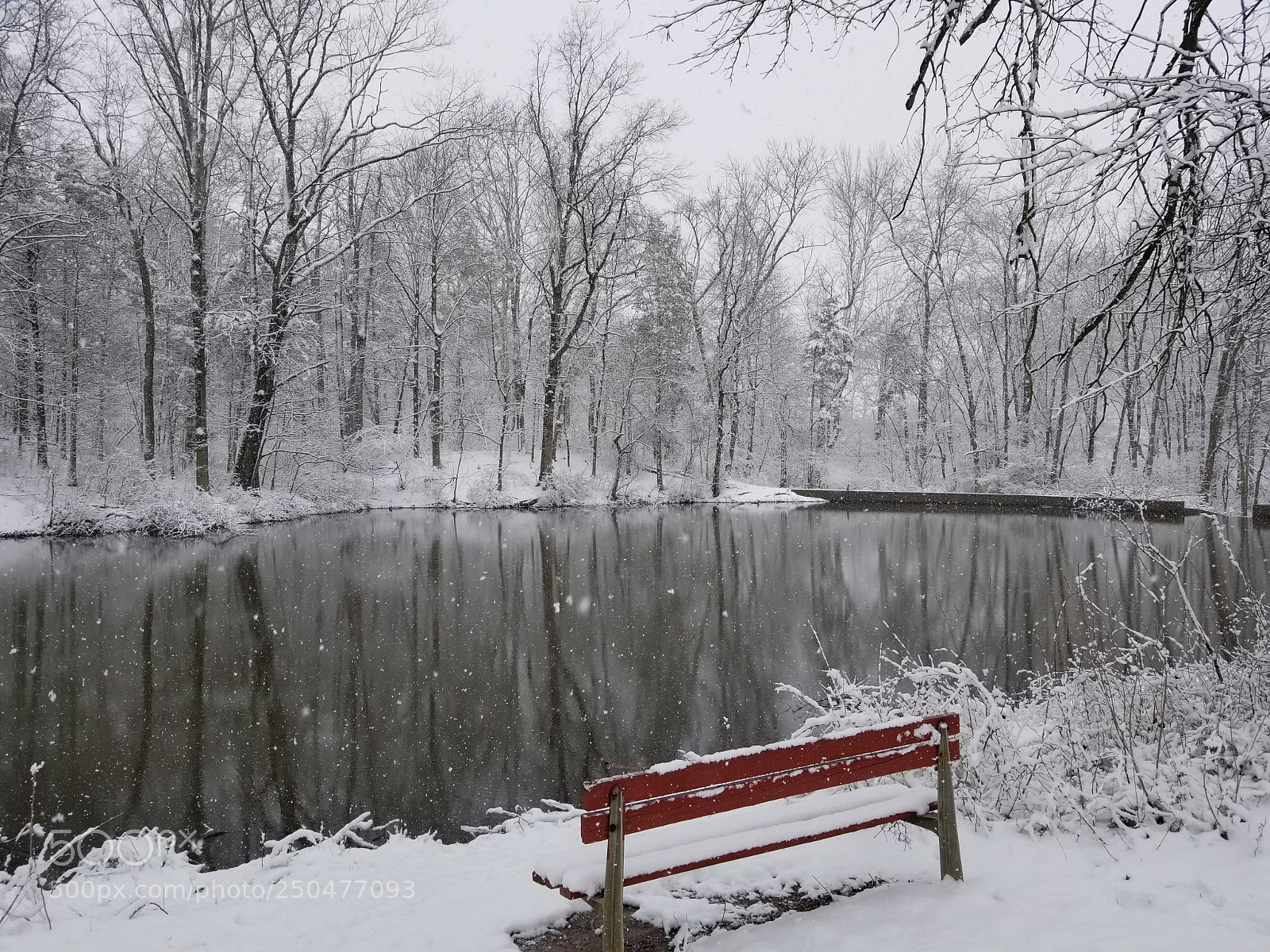 Samsung Galaxy S8 sample photo. Snowstorm! photography